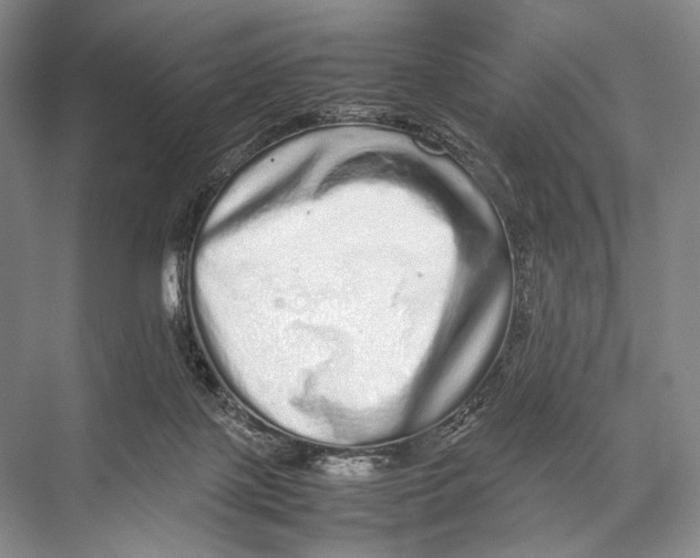 X0000067850075200605041726