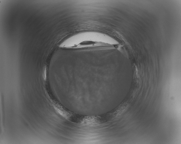 X0000067850076200605041726