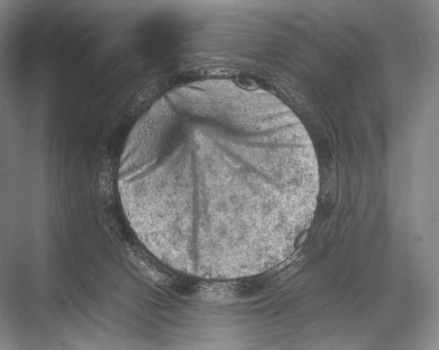 X0000067850078200605041726