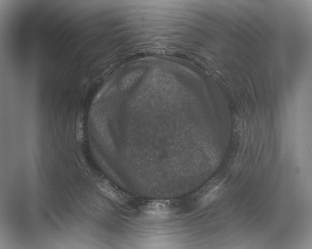 X0000067850080200605041726