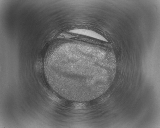 X0000067850085200605041726