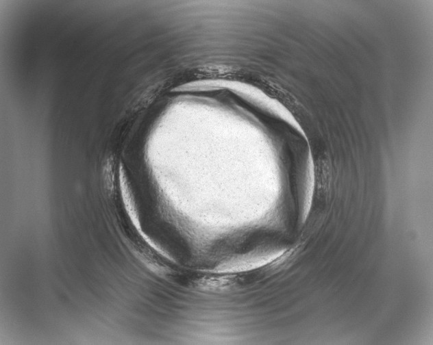 X0000067850086200605041726