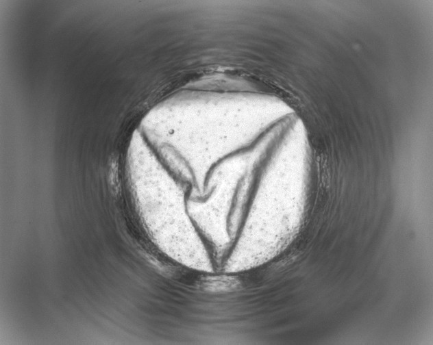 X0000067850087200605041726