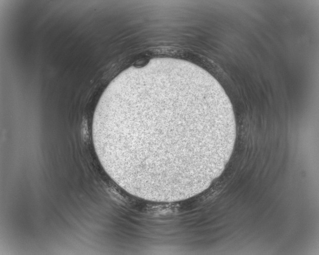 X0000067850089200605041726