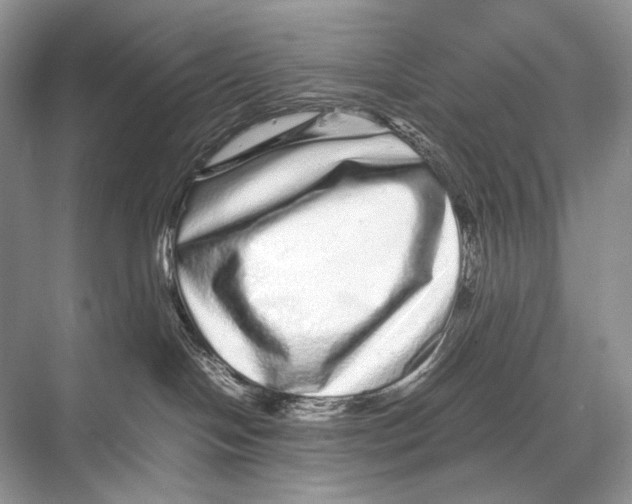 X0000067850094200605041726