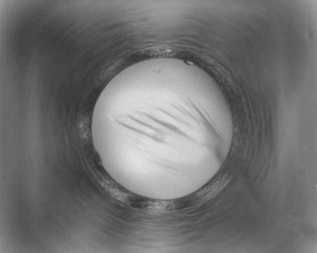 X0000067850096200605041727