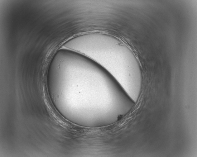 X0000067850097200605041726