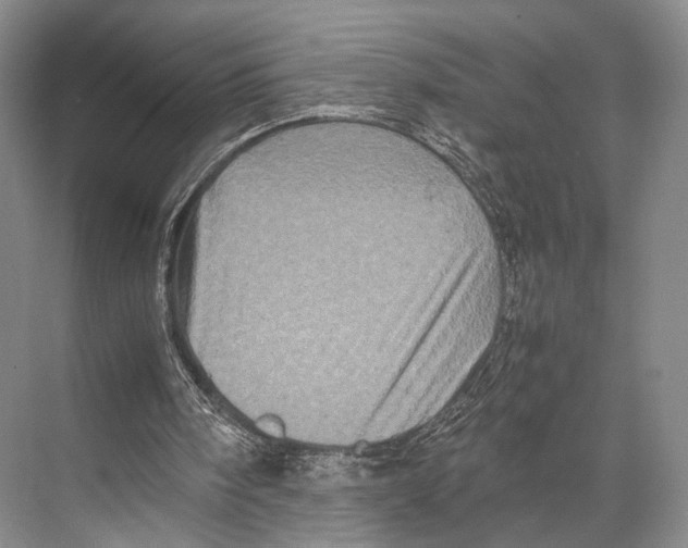 X0000067850098200605041726