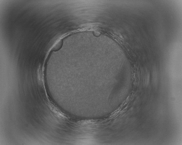 X0000067850100200605041726