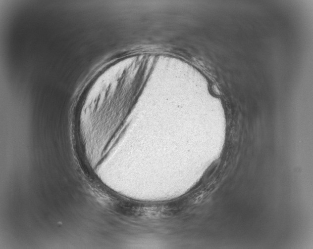 X0000067850103200605041726