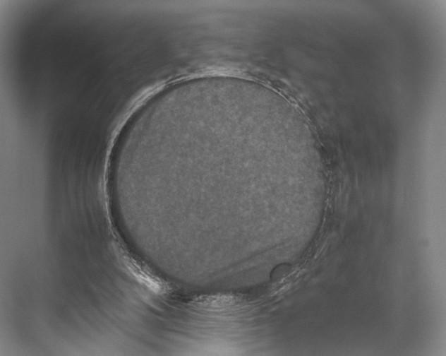 X0000067850104200605041726