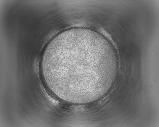 X0000067850106200605041726