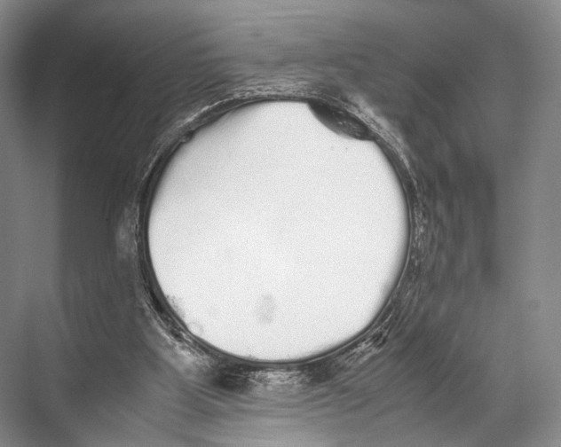 X0000067850107200605041726