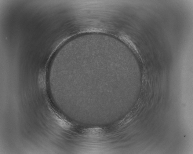 X0000067850108200605041726