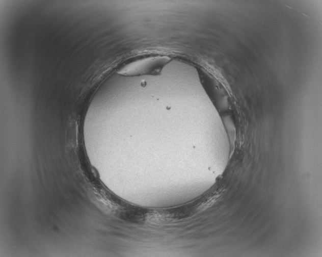 X0000067850109200605041726