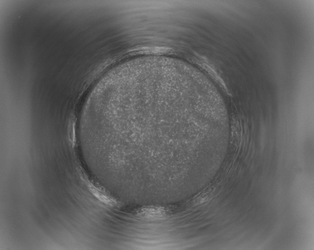 X0000067850110200605041725