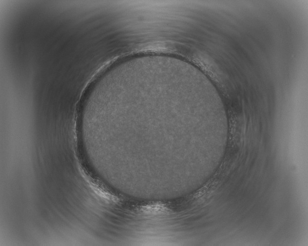 X0000067850112200605041725