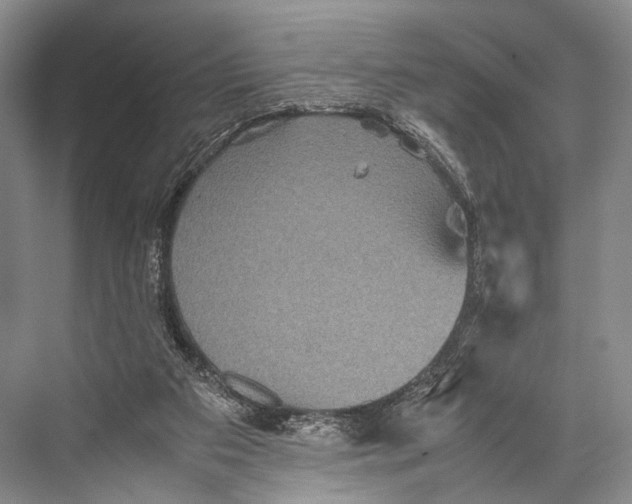 X0000067850113200605041725