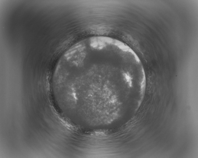 X0000067850114200605041725