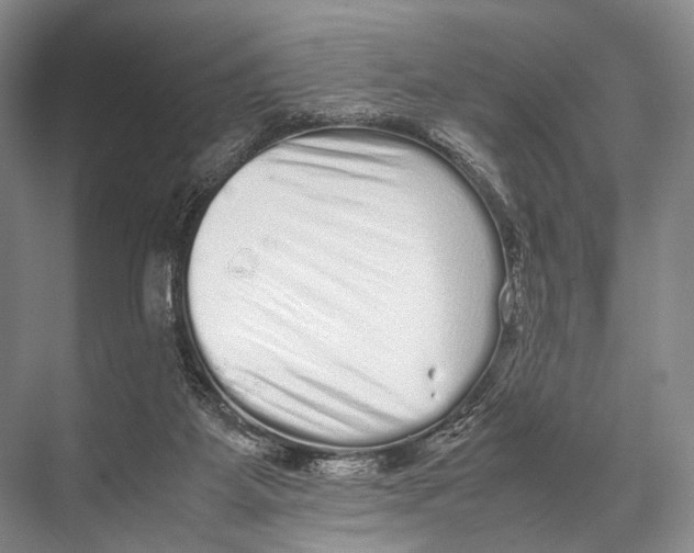 X0000067850115200605041725