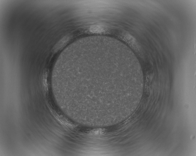 X0000067850116200605041725