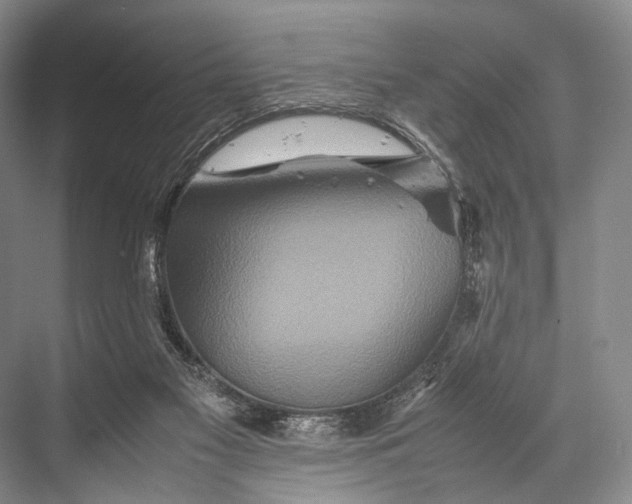 X0000067850117200605041725