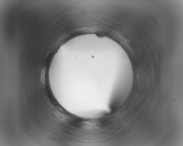 X0000067850118200605041725