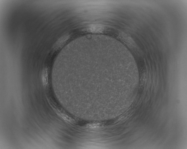 X0000067850120200605041725