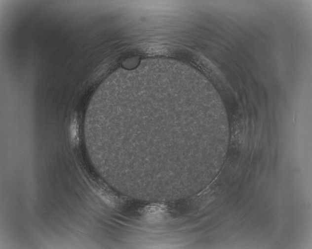 X0000067850124200605041725