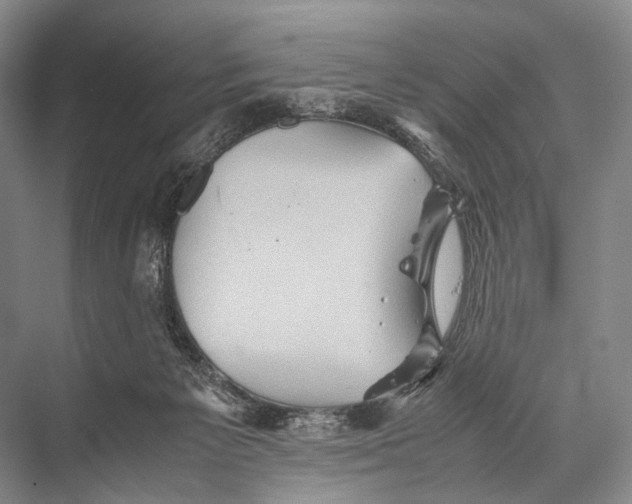 X0000067850125200605041725