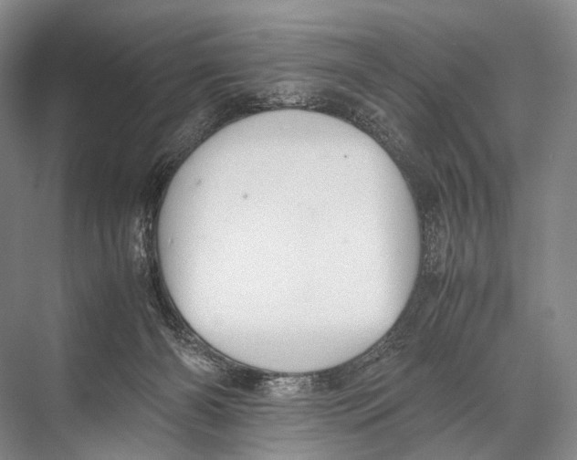 X0000067850126200605041725