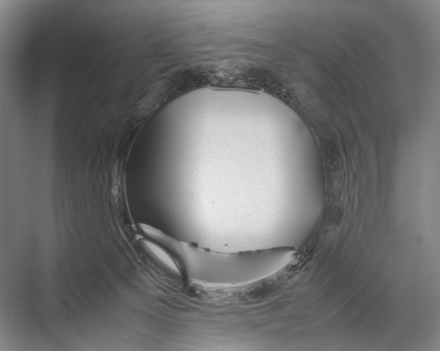 X0000067850129200605041725