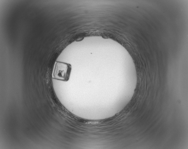 X0000067850133200605041725