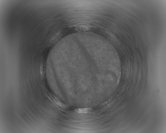 X0000067850134200605041725