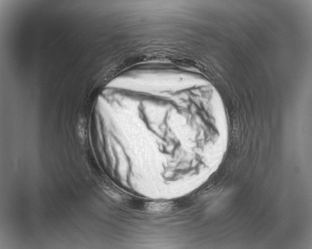 X0000067850135200605041725