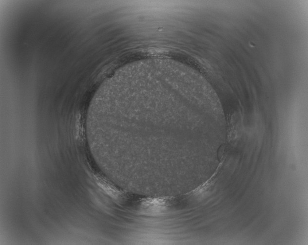 X0000067850140200605041725