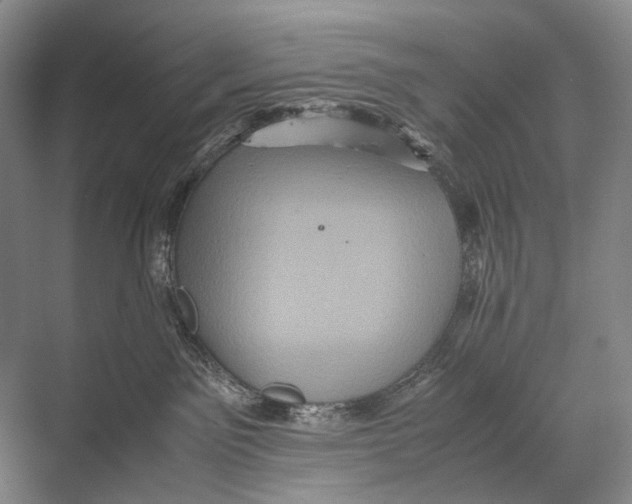 X0000067850141200605041725