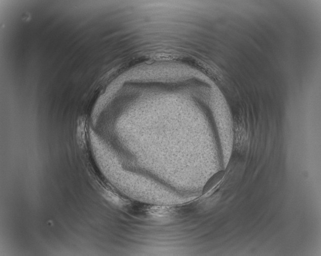 X0000067850142200605041725