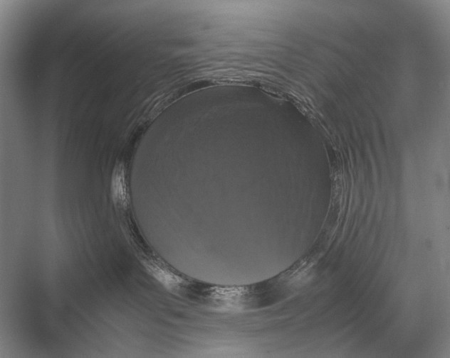 X0000067850143200605041725