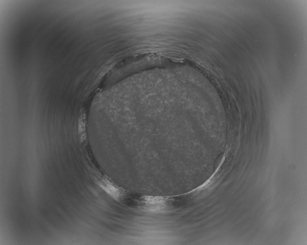 X0000067850144200605041725