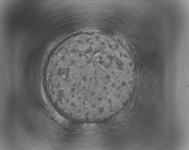 X0000067850145200605041724