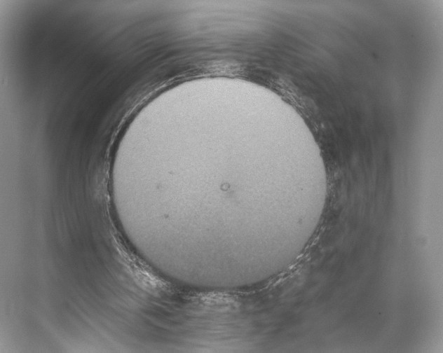 X0000067850146200605041724