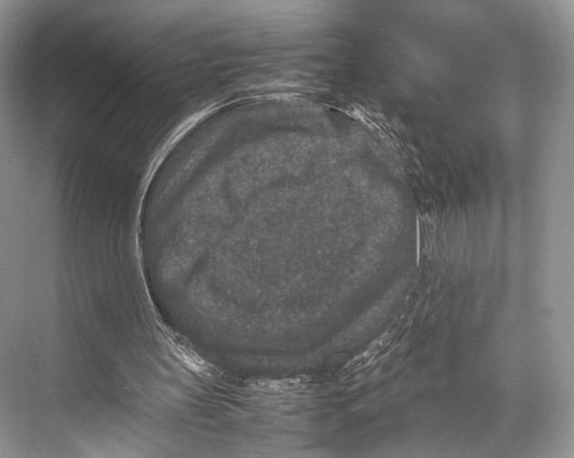 X0000067850147200605041724