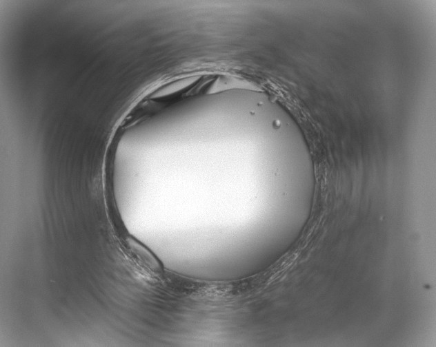 X0000067850148200605041724