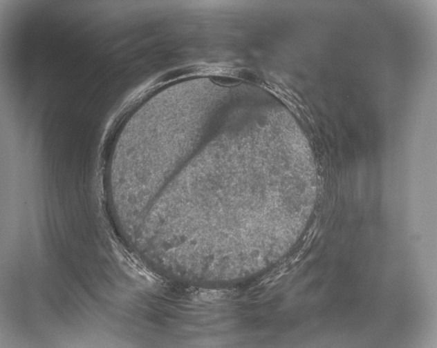 X0000067850149200605041724