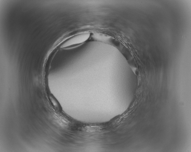 X0000067850150200605041724