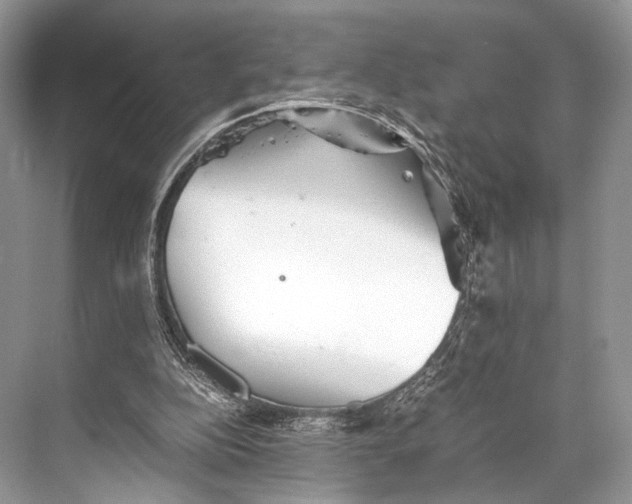 X0000067850152200605041724