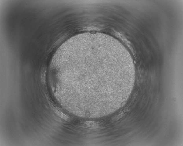 X0000067850153200605041724