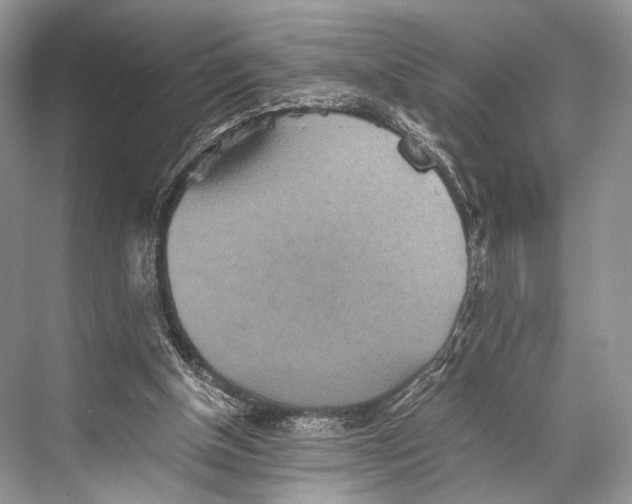 X0000067850154200605041724