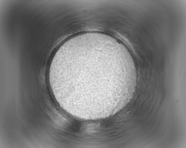 X0000067850155200605041724